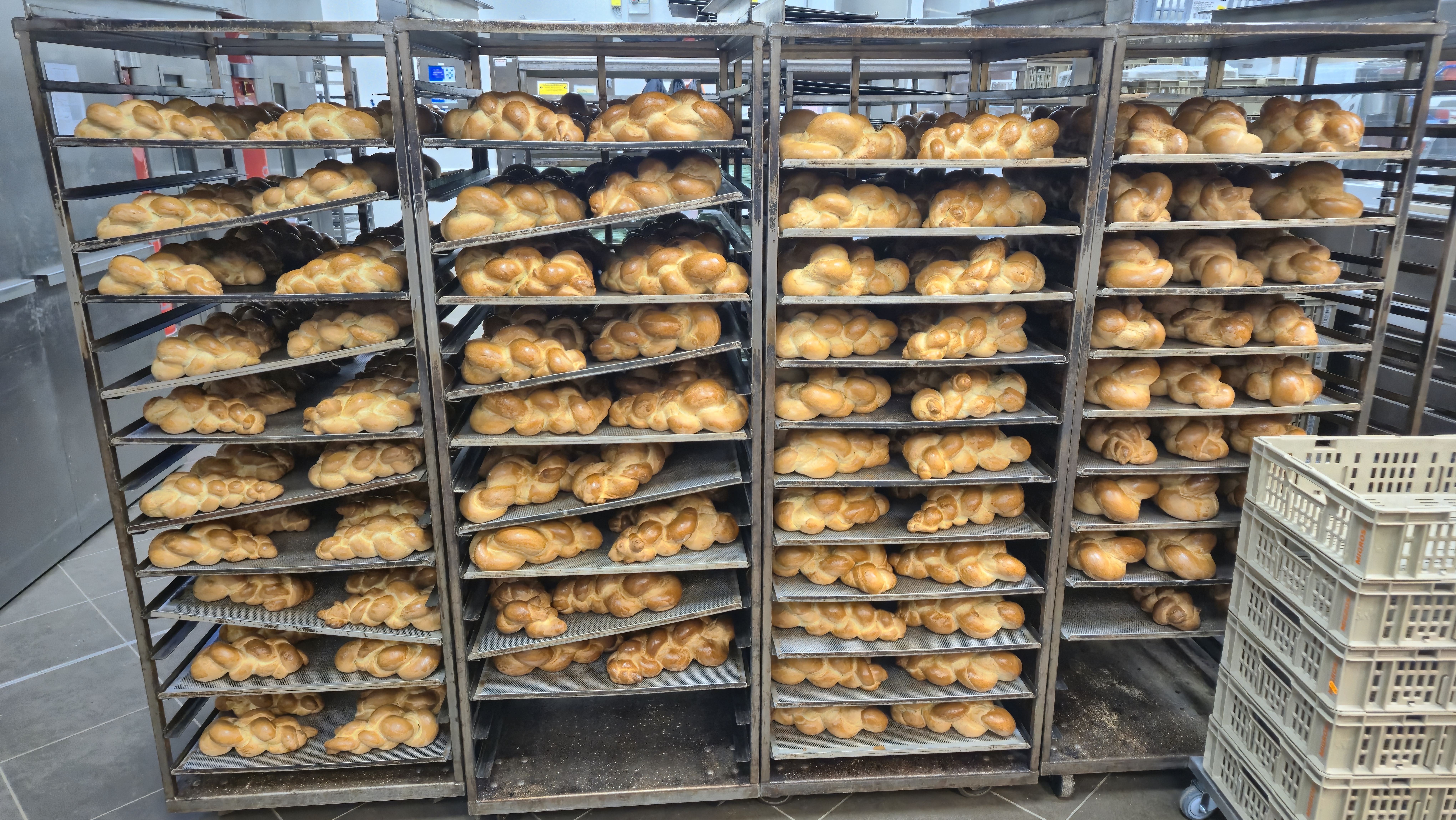 2025 - Das sind nur ein Bruchteil der Zöpfe